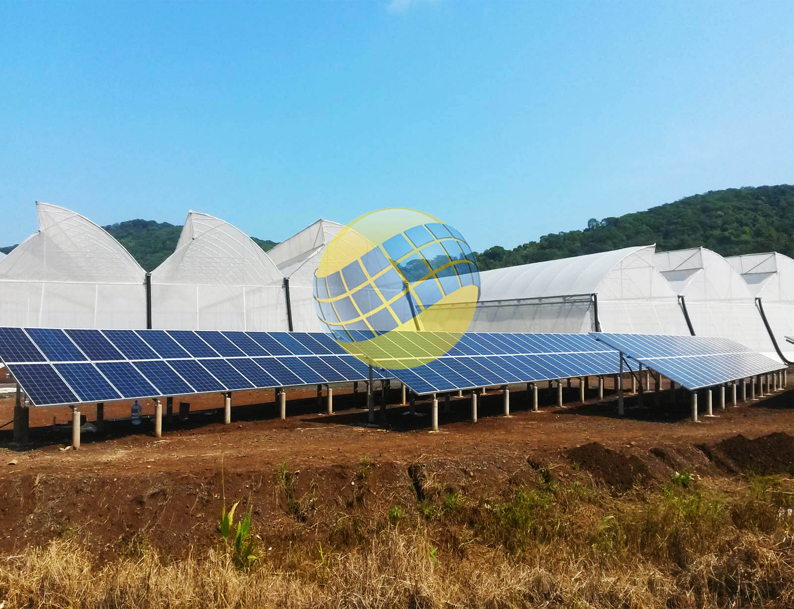 17.-XEVIA FARMING