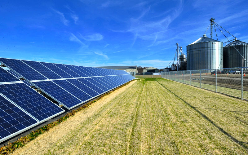 Celdas Solares Agroindustria